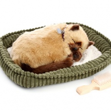  Perfect Petzzz 